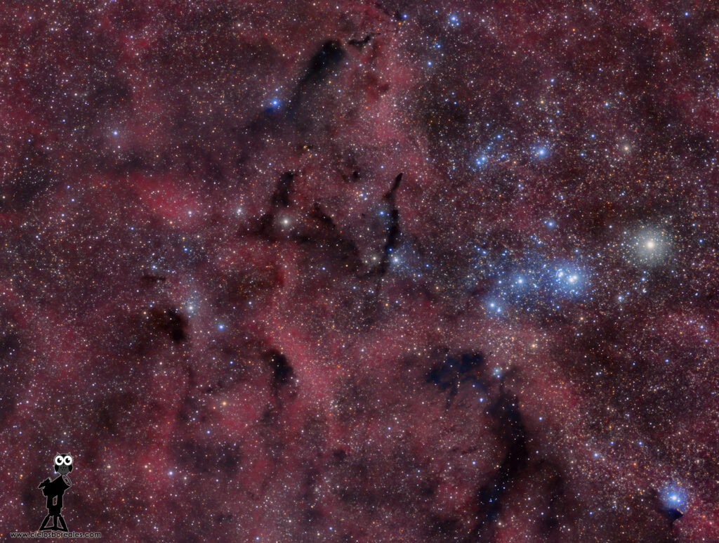 b147 o Barnard 147 es una nebulosa oscura en el Cisne