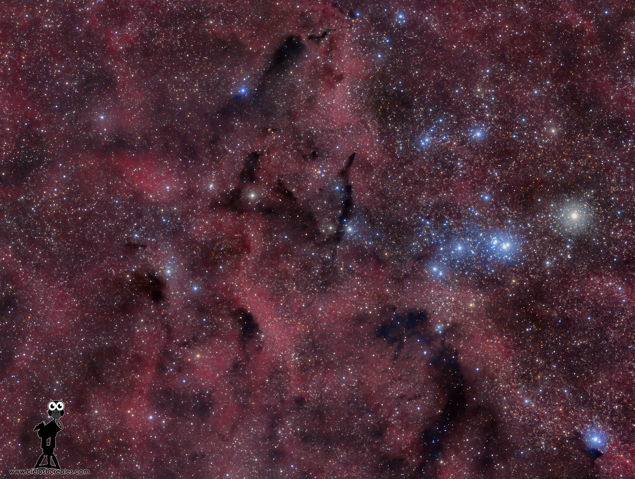 B147, nebulosas oscuras en el Cisne
