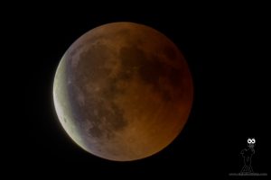 El eclipse total de Luna más largo del siglo XXI pudo ser observado parcialmente desde España.