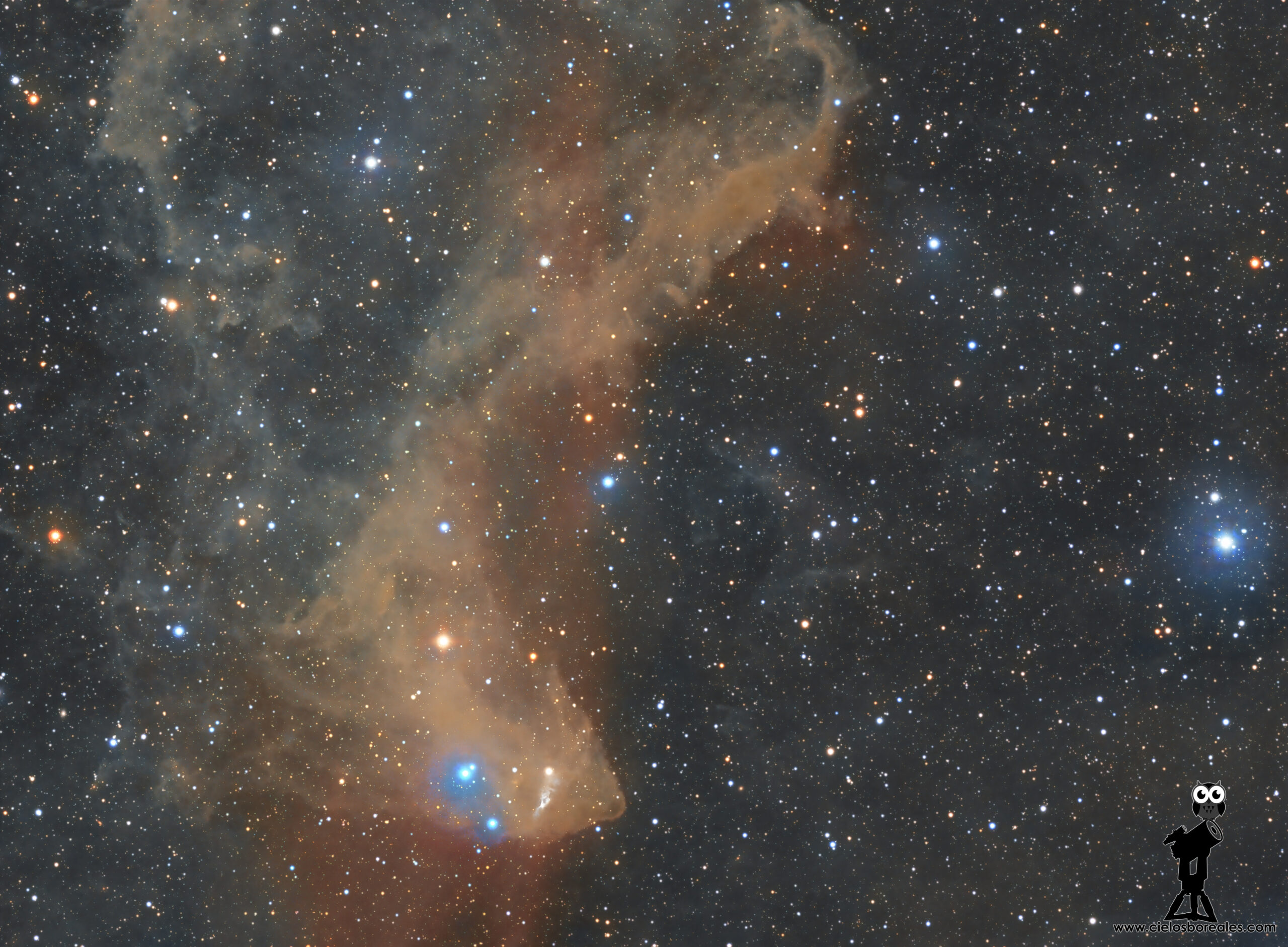 LBN 437, Nebulosa del Gecko