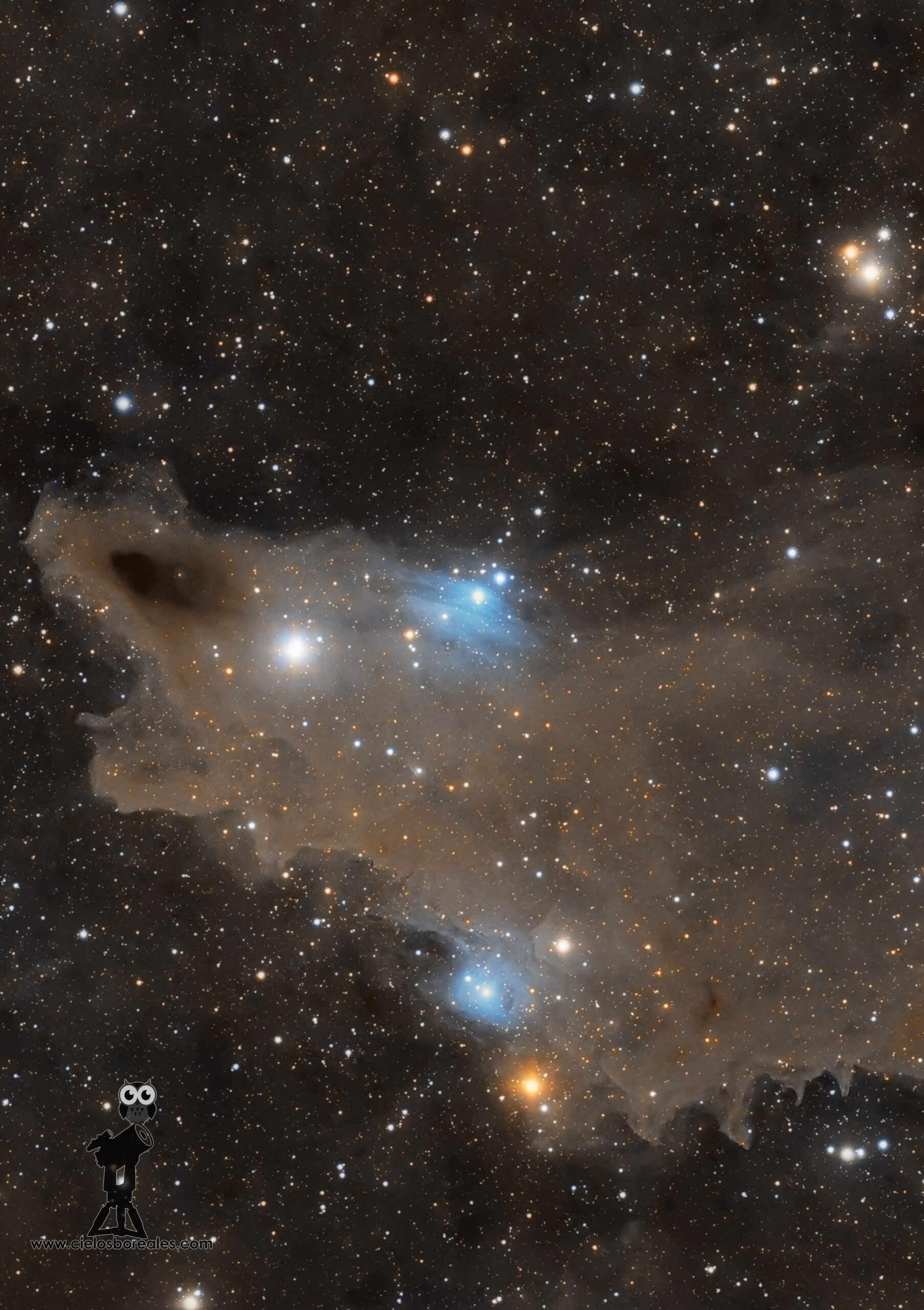 LDN1235, la Nebulosa del Tiburón