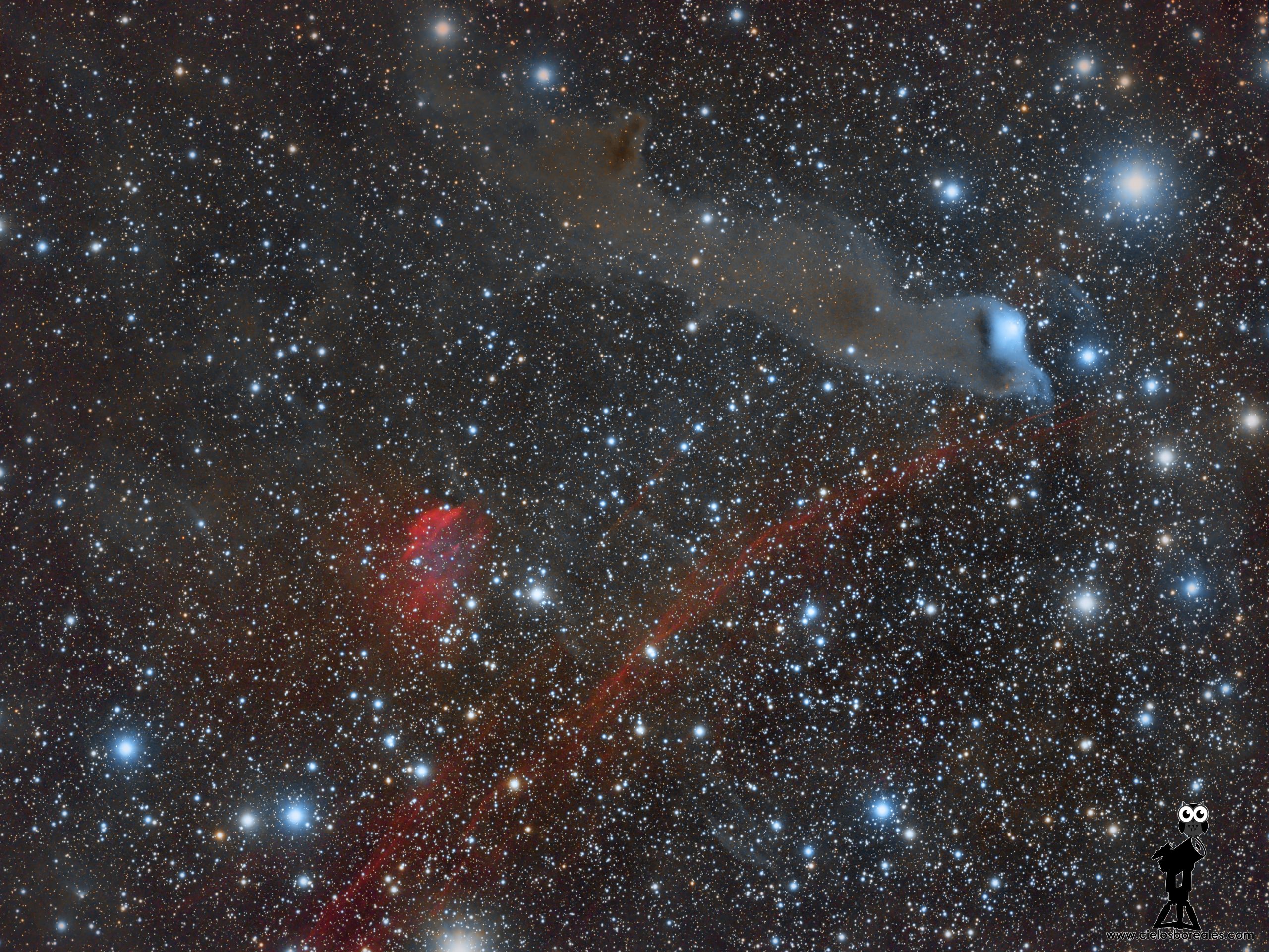 VdB152, Nebulosa del Urogallo