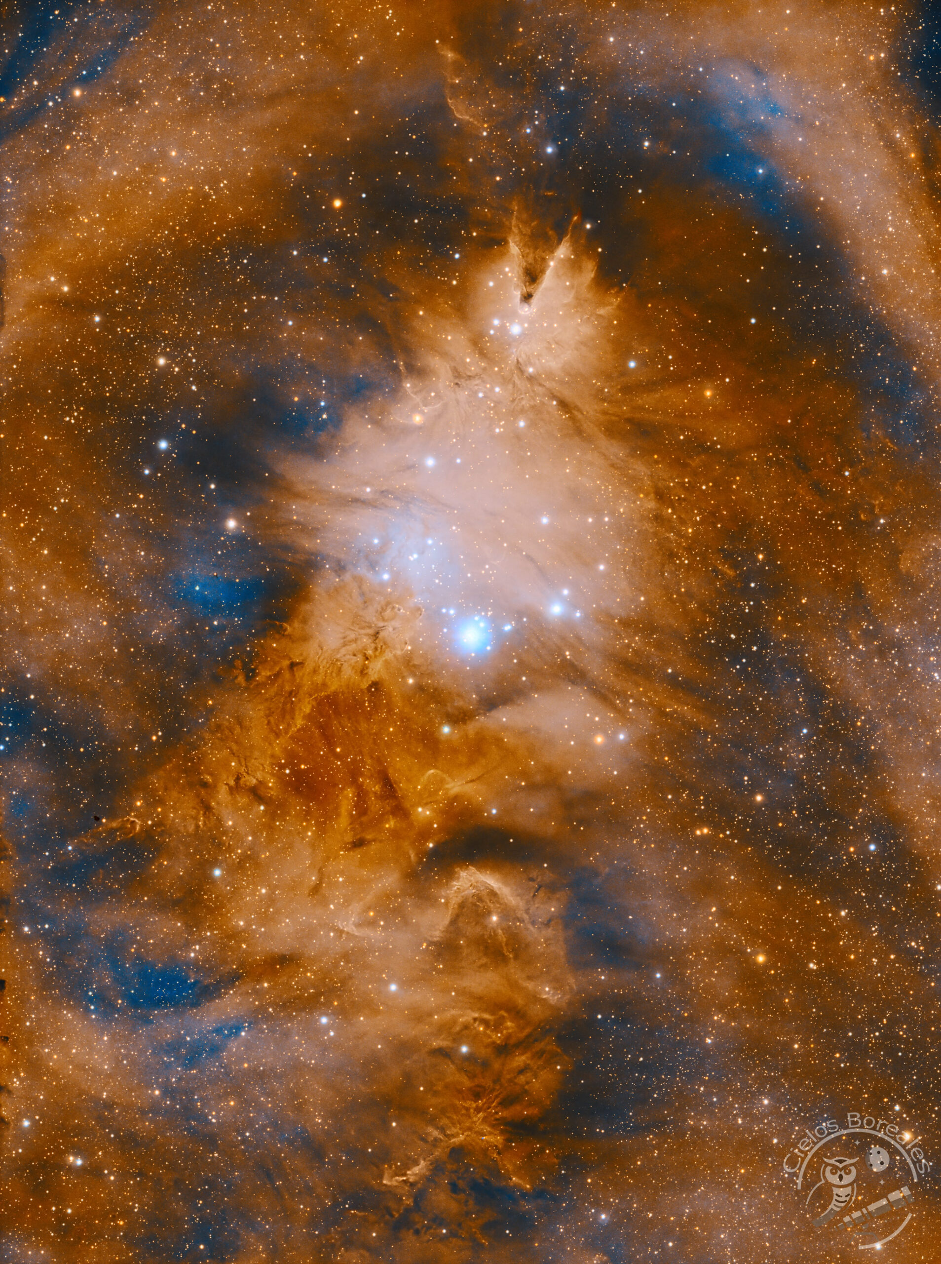 Imagen de la Nebulosa del Cono y el cúmulo del árbol de Navidad NGC2264 obtenida esa noche.