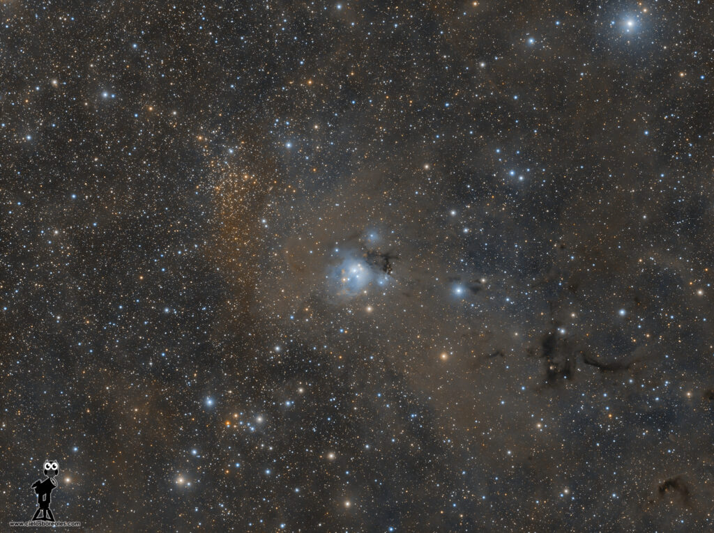 NGC7129 nebulosa en Cefeo