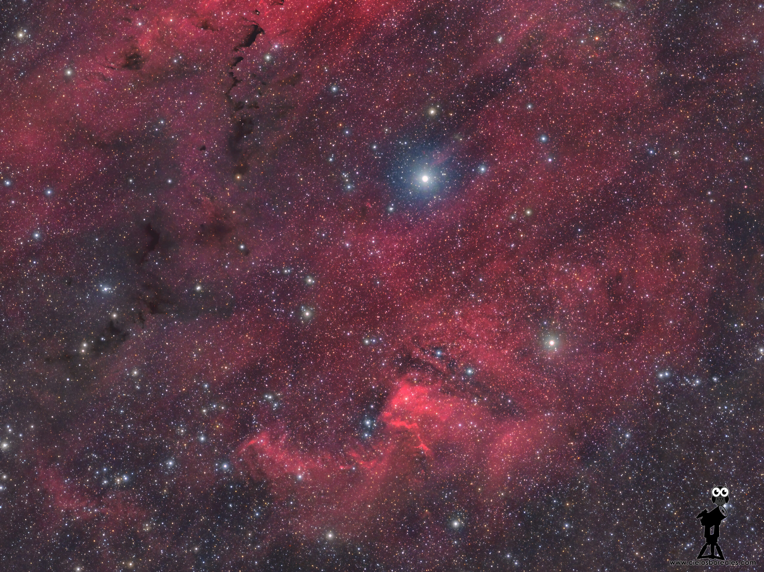 sh2-119 o nebulosa de la concha
