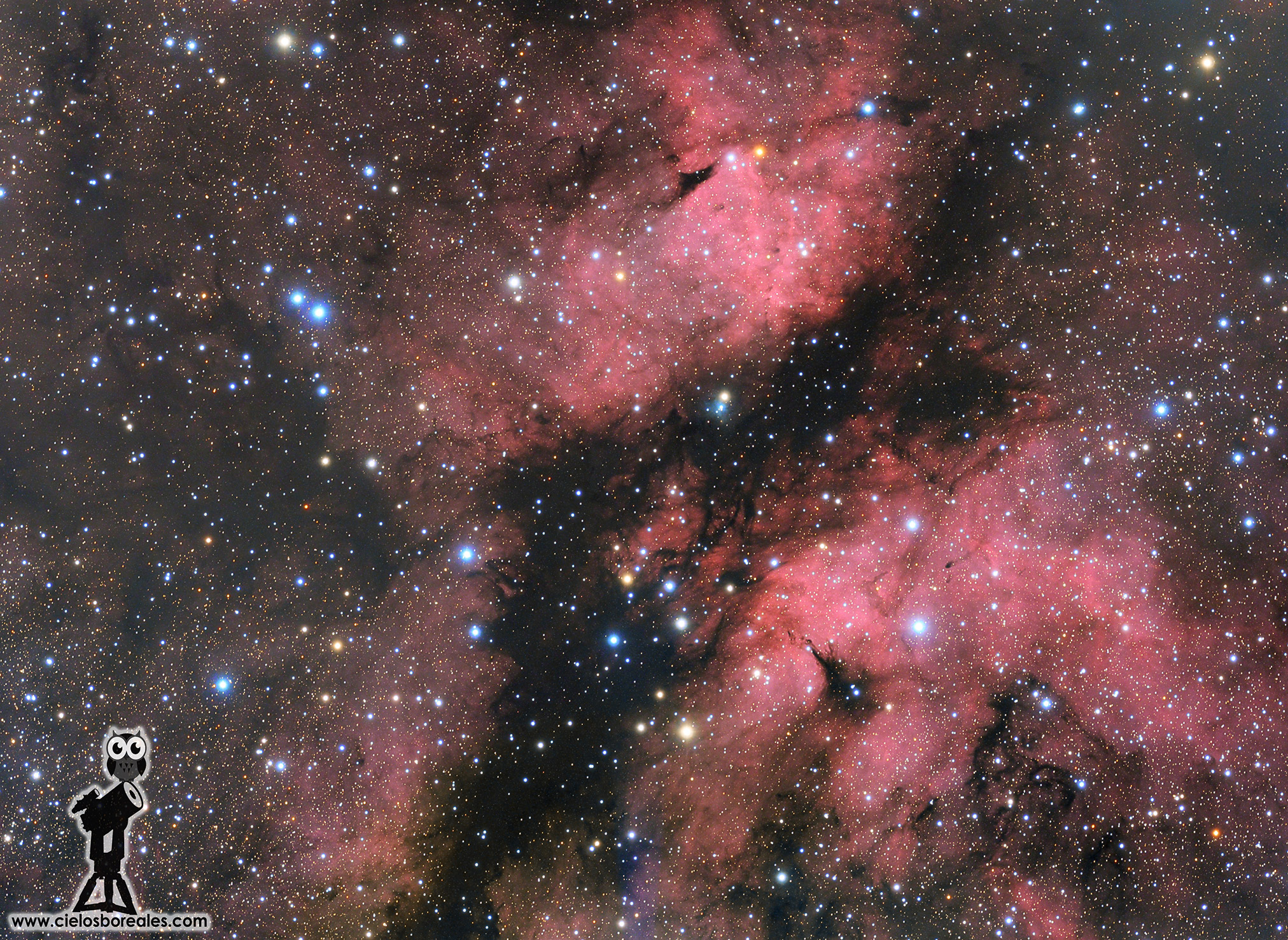 Nebulosas oscuras en la región de Sadr