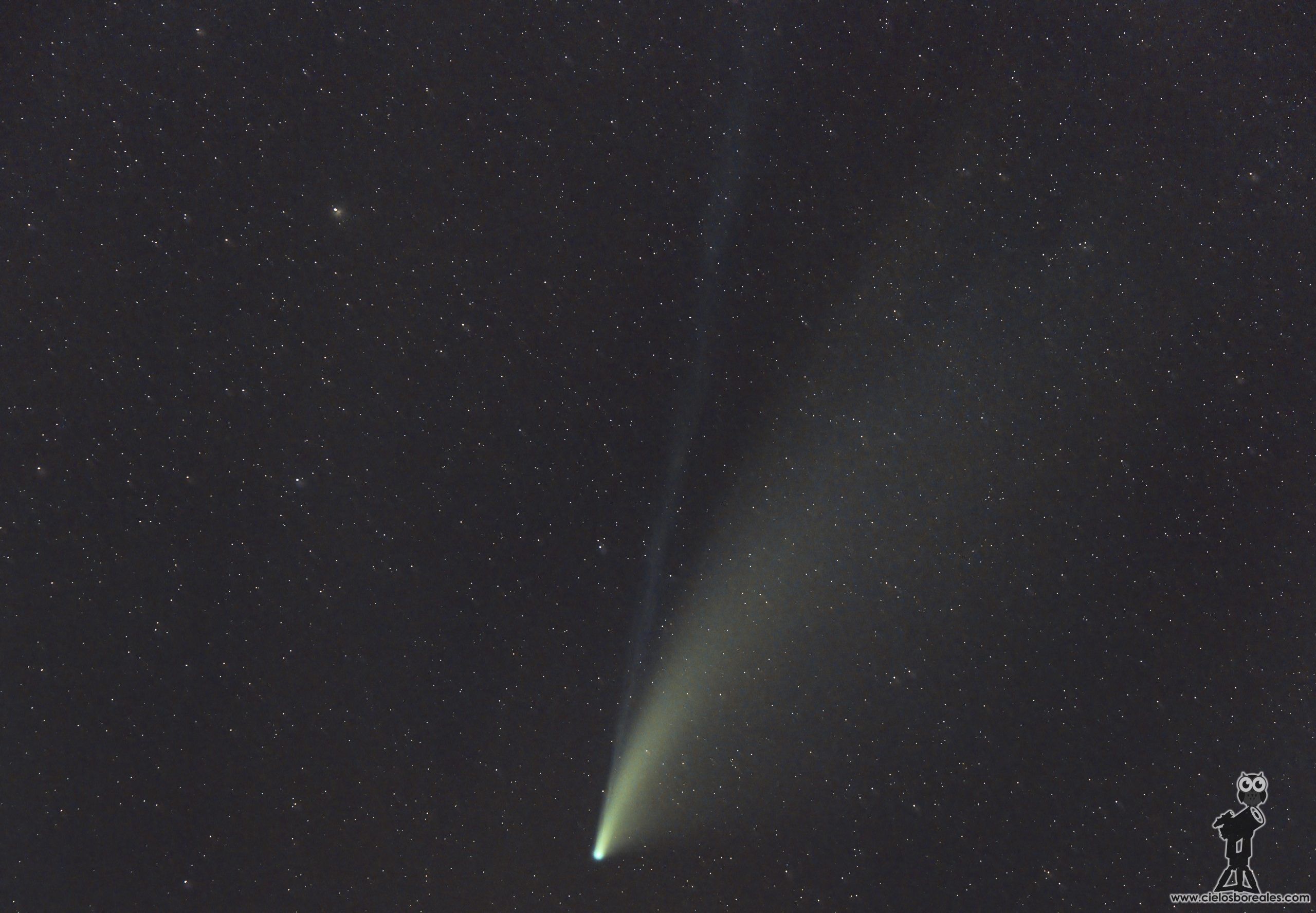 ¿Qué es un cometa? El cometa Neowise con dos colas, una de polvo y otra iónica.
