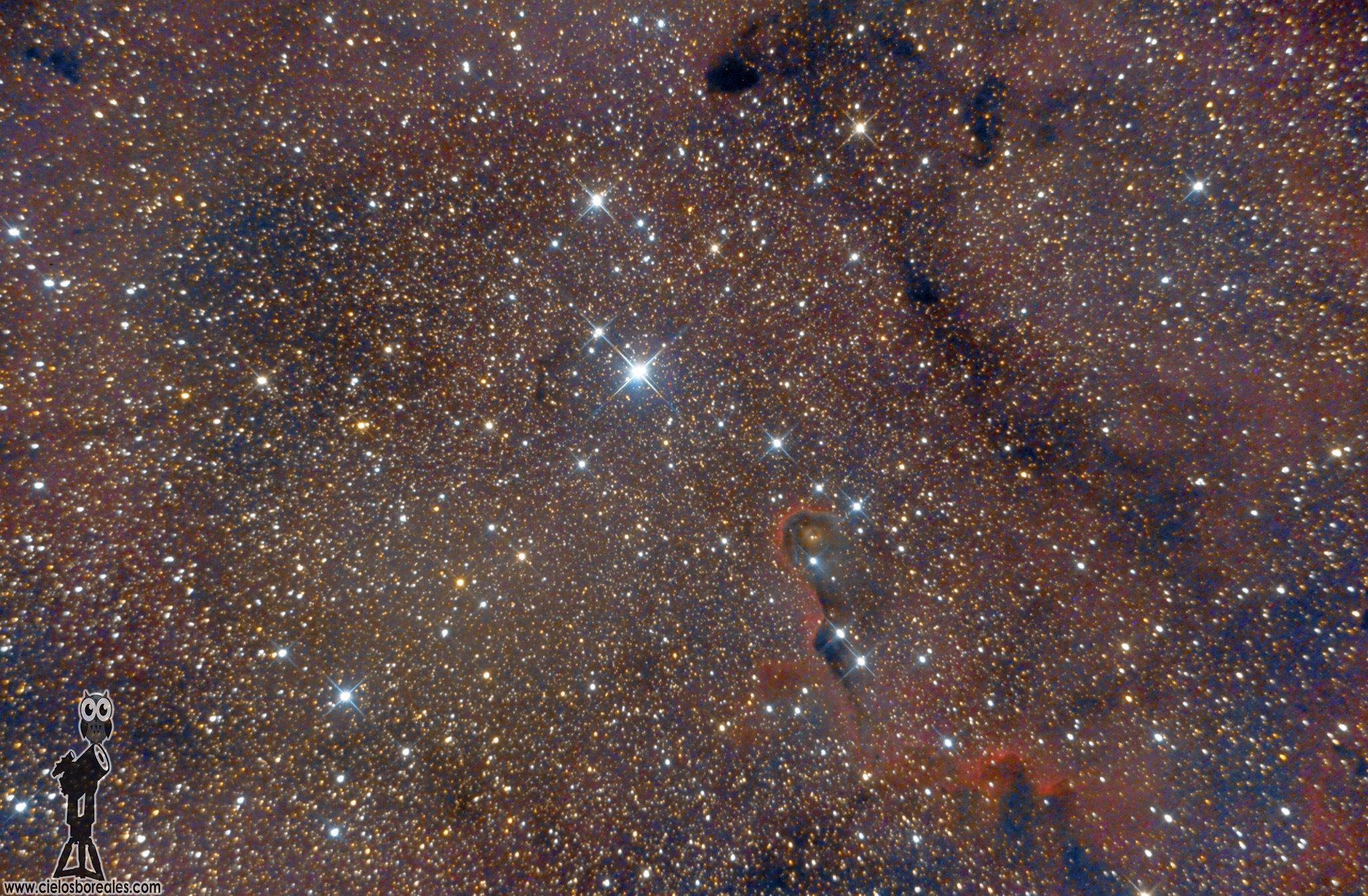 IC1396, Nebulosa «Trompa de elefante»