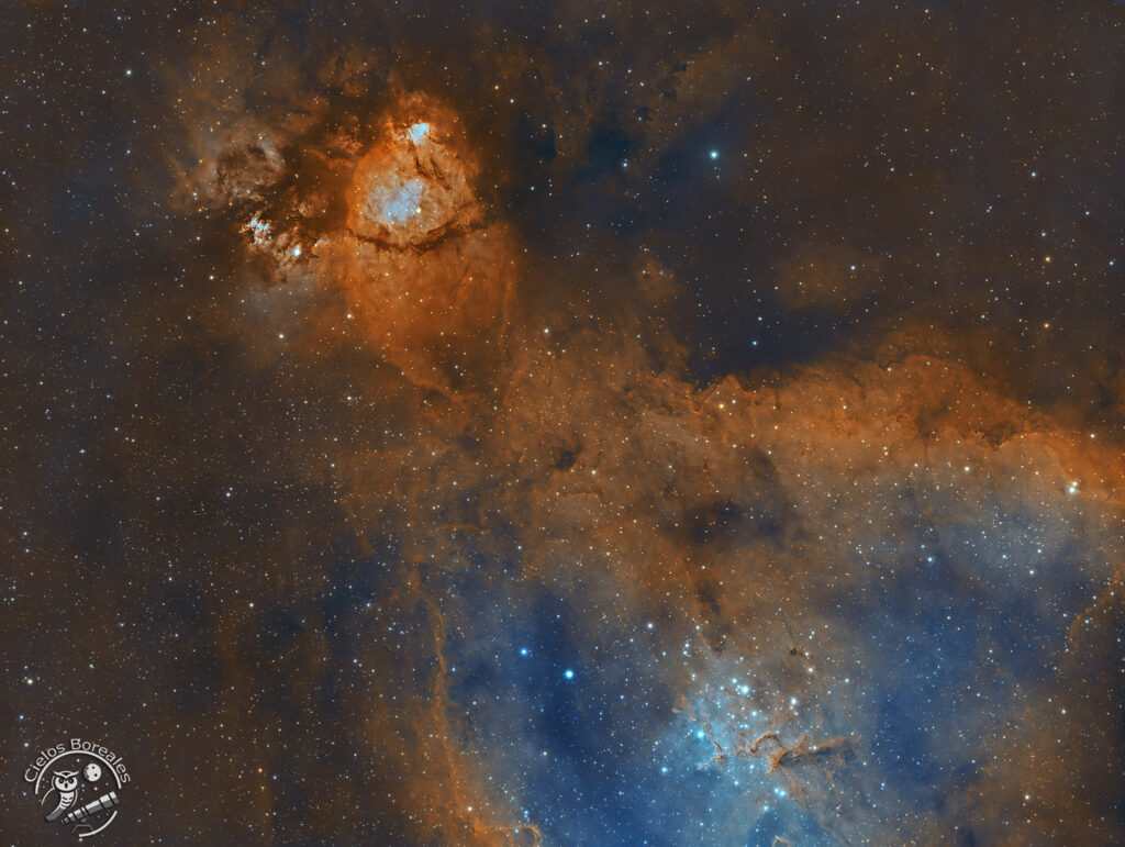 ic1795, nebulosa de la cabeza de pez