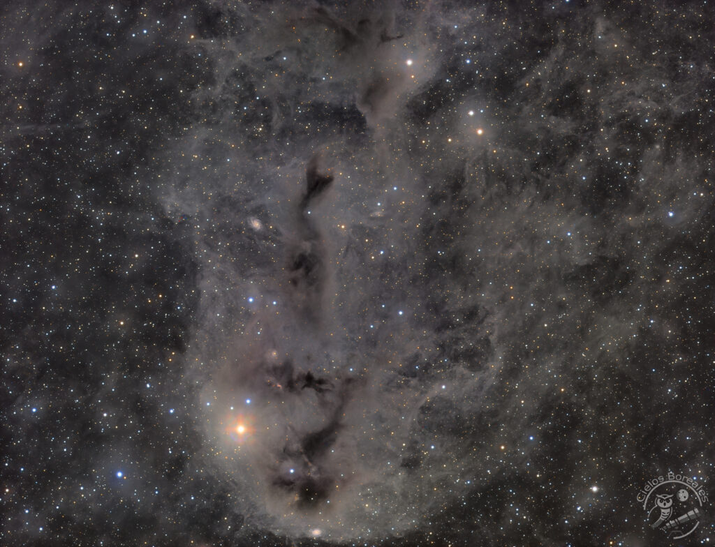 LDN1251, Nebulosa del pez podrido 1 ldn1251v2
