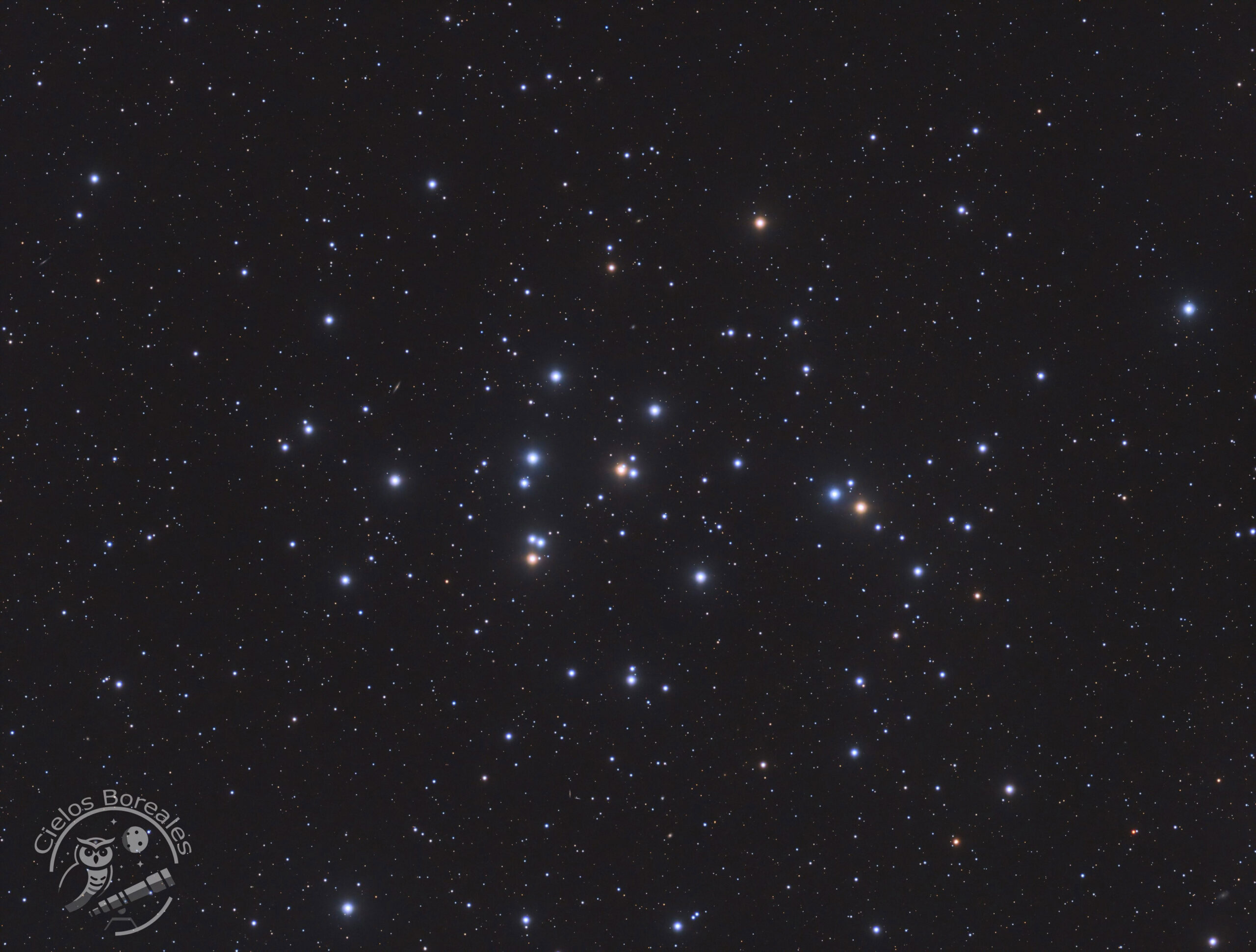 M44, Cúmulo del Pesebre