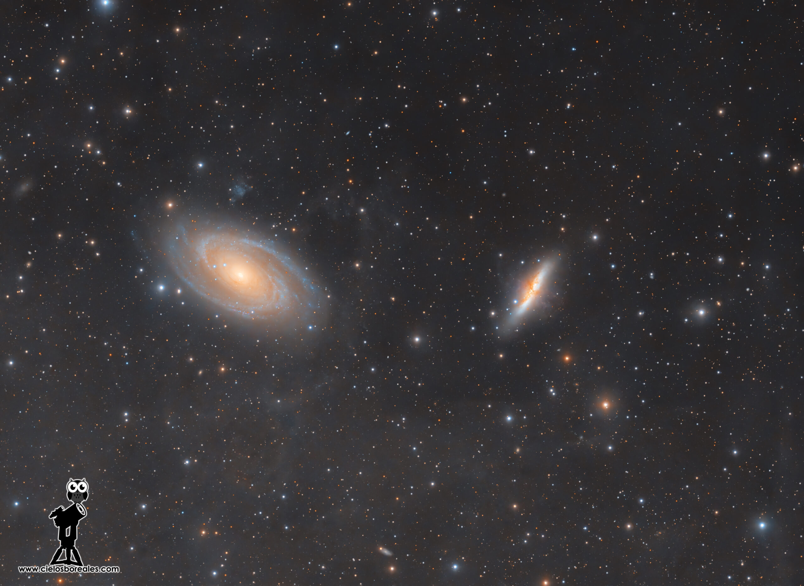 M81 y M82