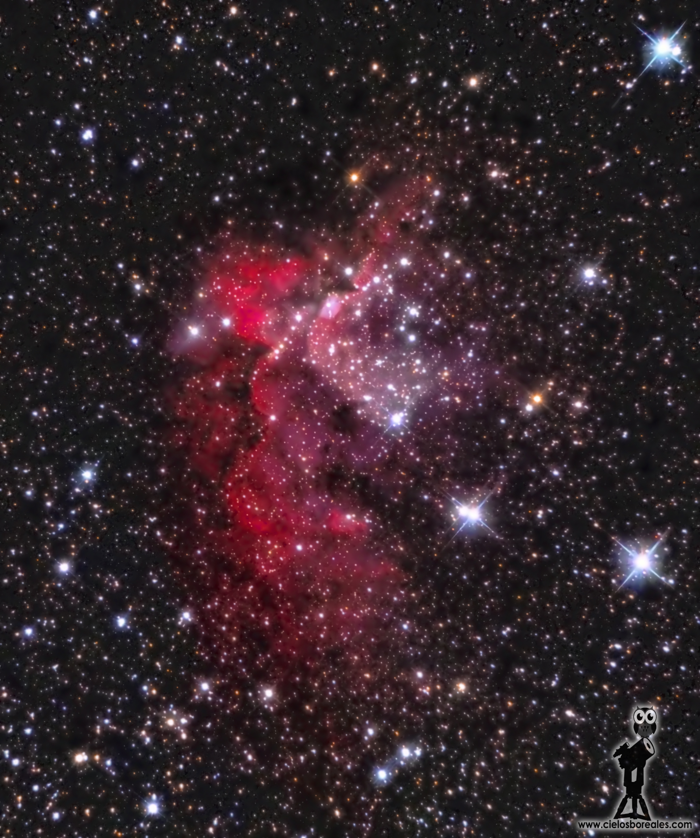 NGC7380 y Nebulosa del Mago (Sharpless 2-142)