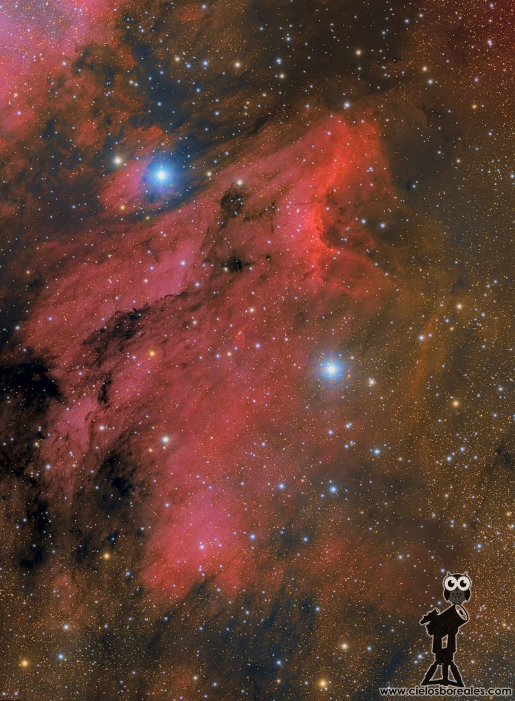 Nebulosa del Pelícano