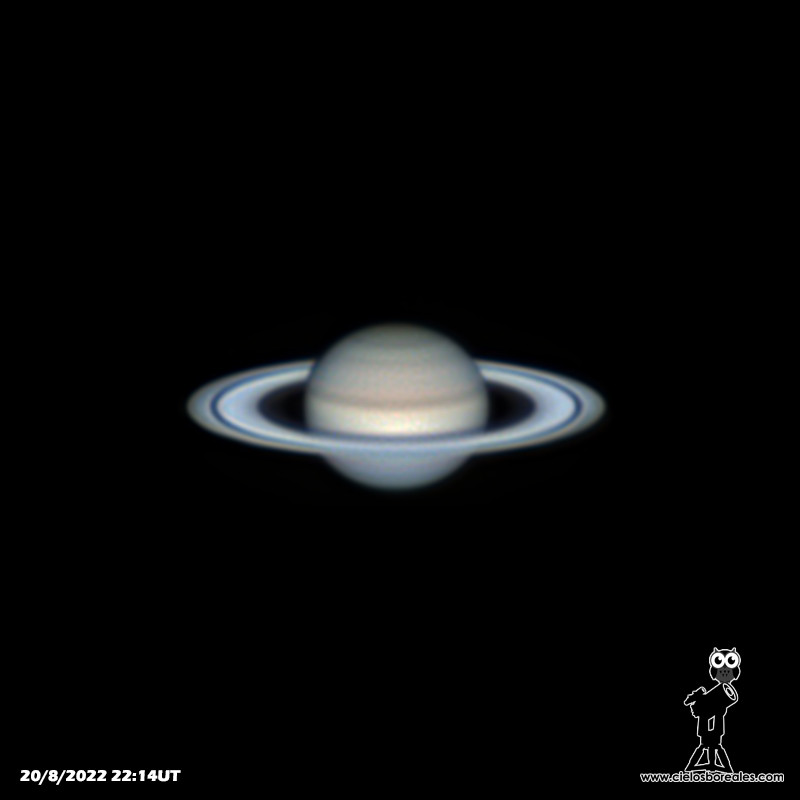 Saturno con Celestron SC8"