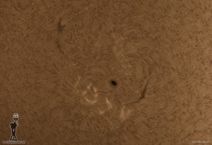 sol20170806 1