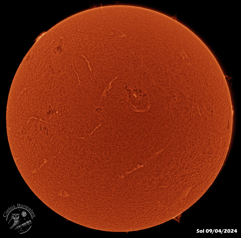 El Sol el 9 de abril de 2024 con telescopio solar h-alpha Coronado PST muestra filamentos y protuberancias.