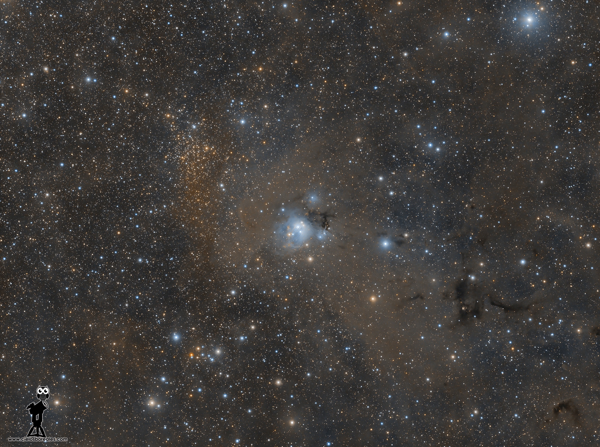 NGC7129 y NGC7142