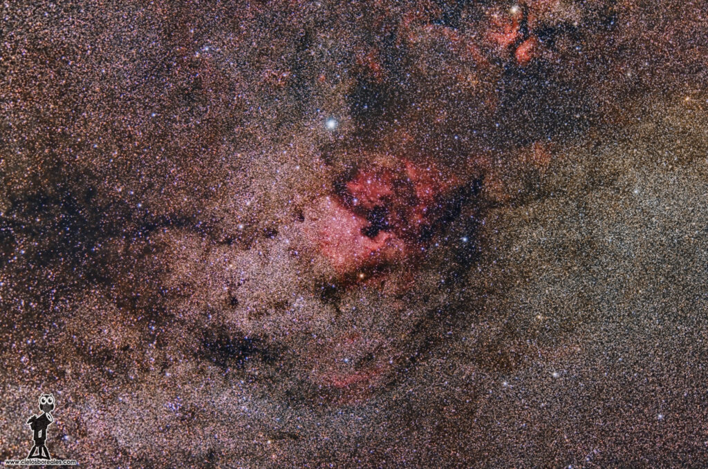 cisnegrancampo2016v2