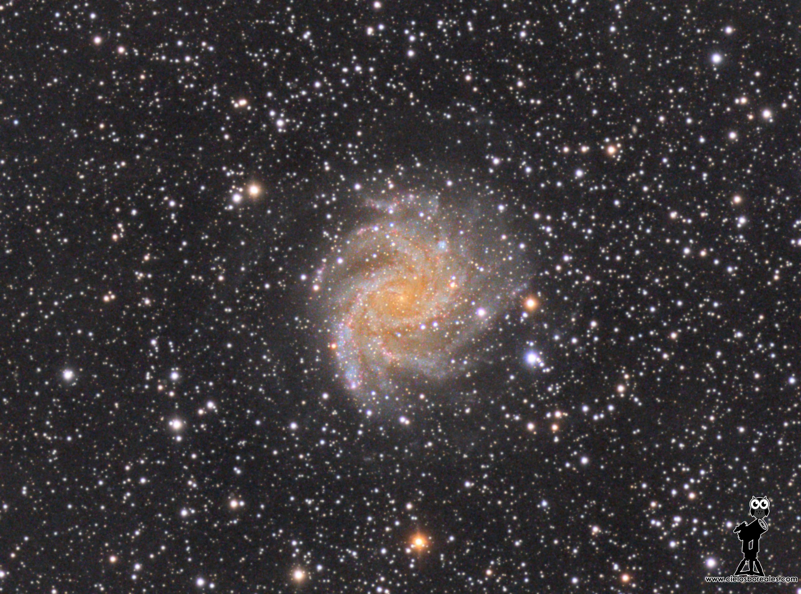 galaxia espiral NGC6946 o "de los fuegos artificiales"