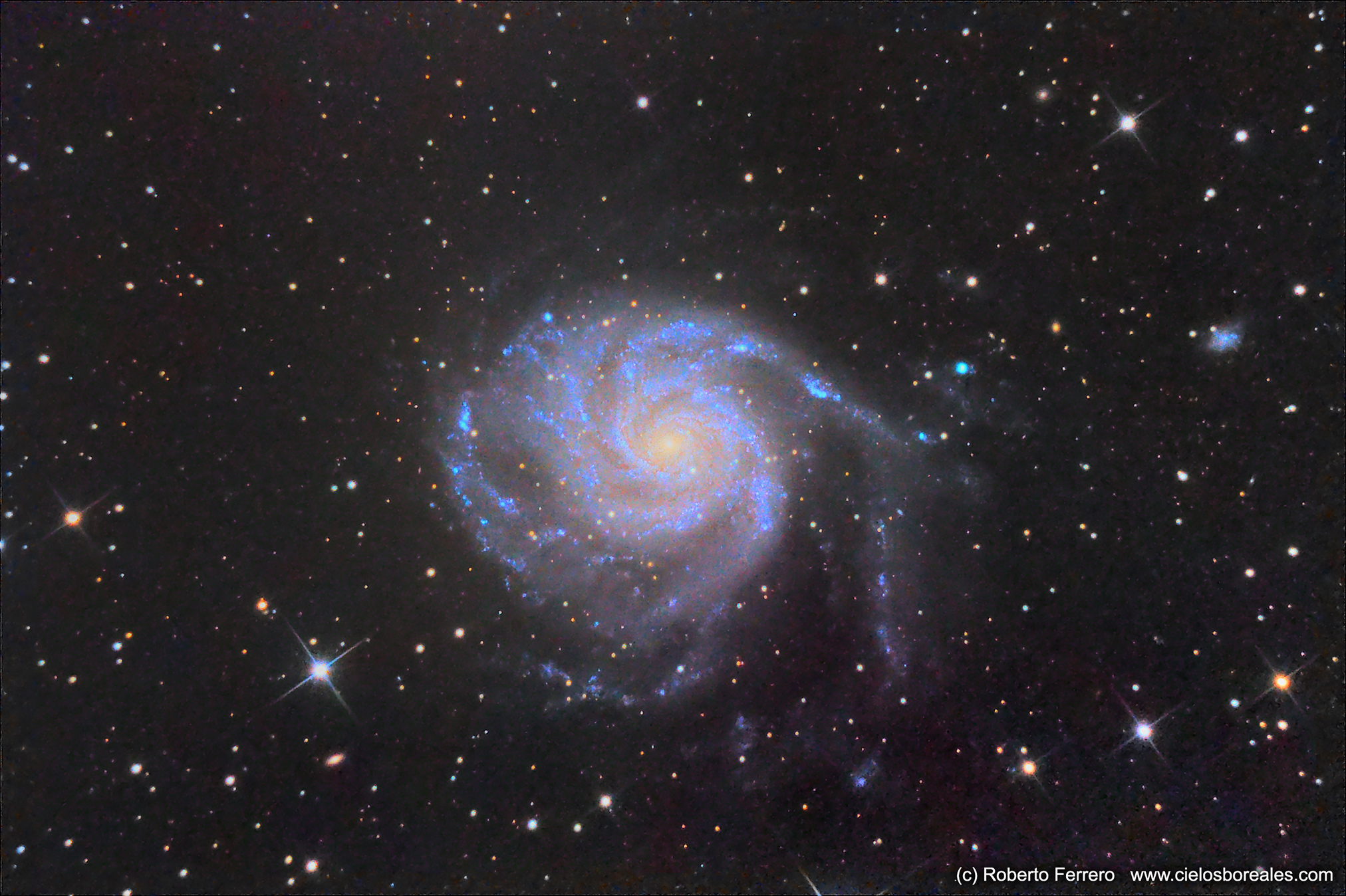 M101
