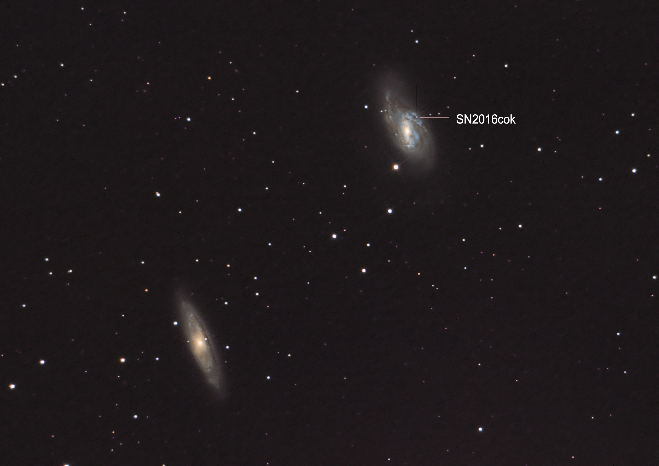 supernova en la galaxia M66