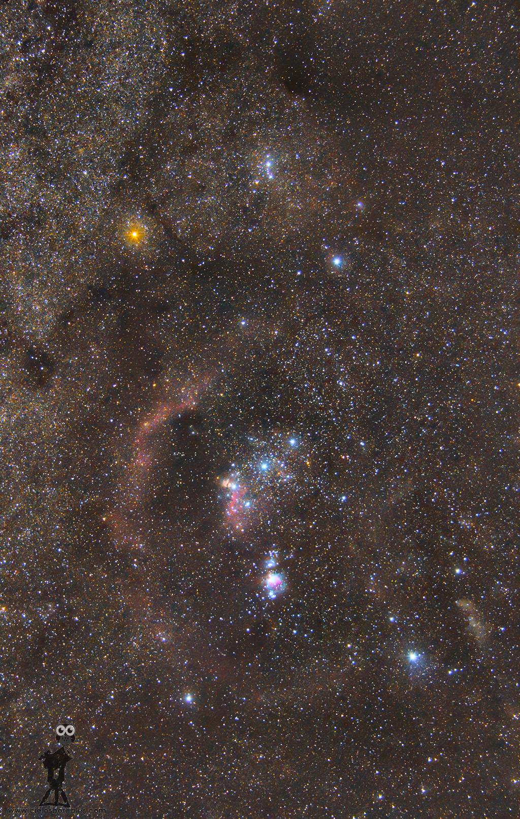 Imagen de la constelación de Orión.