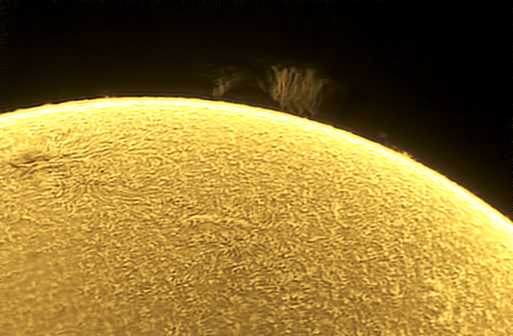 Una protuberancia arbustiva