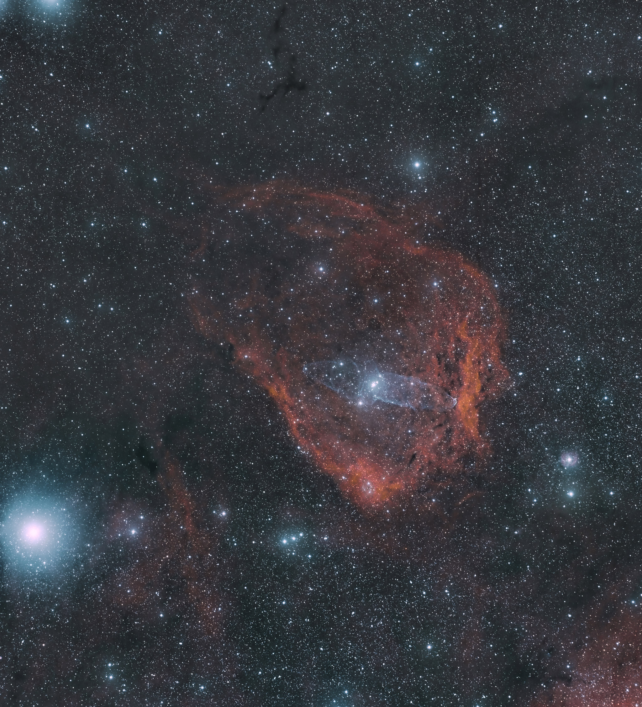SH2-129 Nebulosa del murciélago volador y Ou4 Nebulosa del calamar