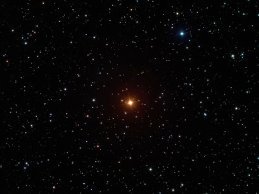 Estrella de Carbono "La Superba" fotografía de Noel Carboni y Greg Parker, elegida imagen astronómica del día de la NASA el 18 de diciembre de 2008