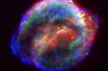 Keplers supernova