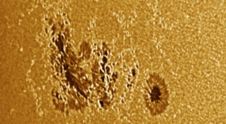 ar2781b