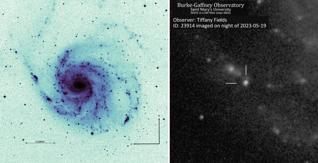 supernova sn 2023ixf en M101
