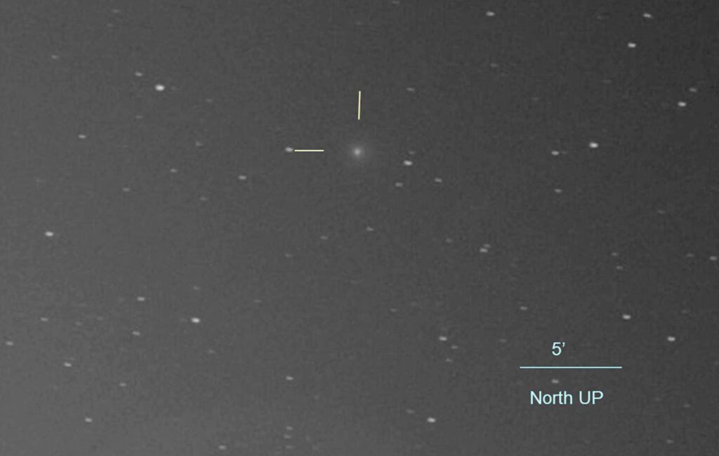New comet Machholz Nov. 7 Toru Yusa