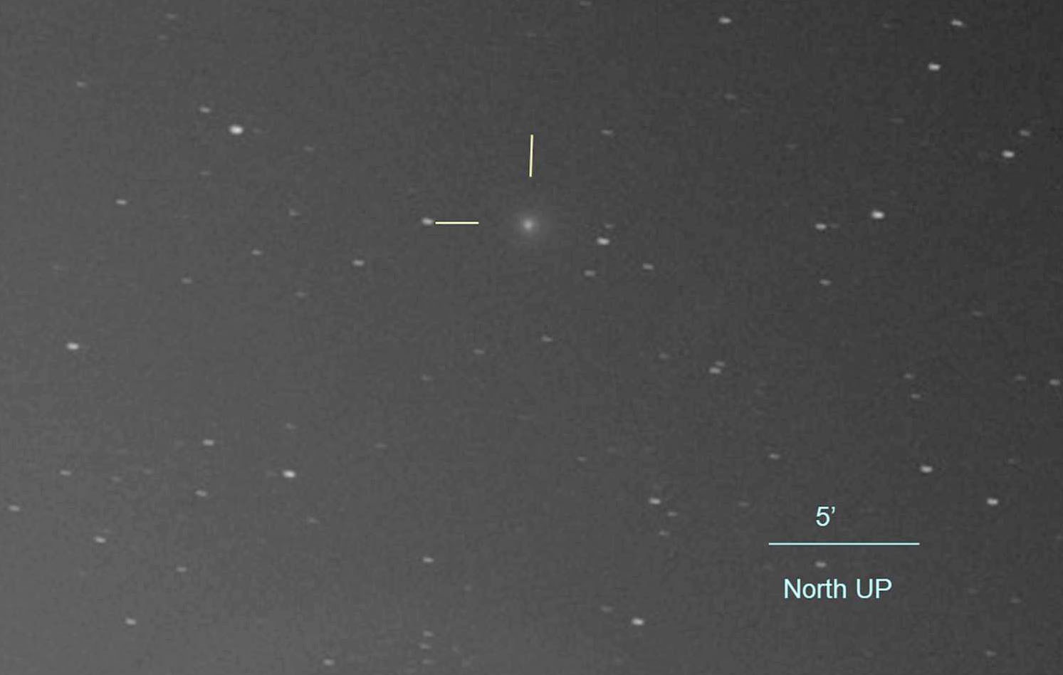New comet Machholz Nov. 7 Toru Yusa